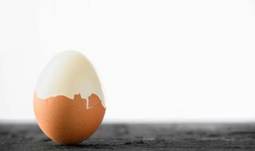 Choline and healthy fats