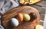 Egg storage