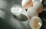 Egg freshness test