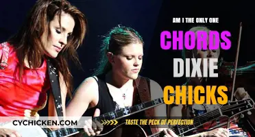 Am I the Only One Chords: Mastering Dixie Chicks' Heartfelt Ballad