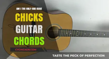 Dixie Chicks' Guitar Chords: Am I the Only One?