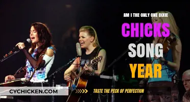 Dixie Chicks' "Am I the Only One" Song: Year and Story