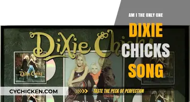 Am I the Only One? Exploring the Dixie Chicks' Powerful Song