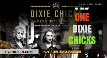 Am I the Only One? Revisiting the Dixie Chicks' Impact