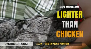 Rooster vs. Chicken: Comparing Leg Weight Differences and Facts