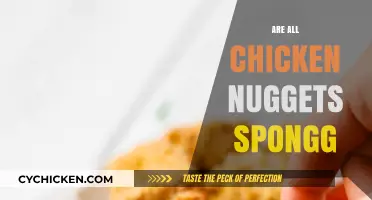 Are All Chicken Nuggets Spongy? Unraveling the Truth Behind the Crunch