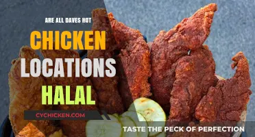 Are All Dave's Hot Chicken Locations Halal? Find Out Here