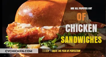 Popeyes Chicken Sandwich Shortage: What's Really Happening Nationwide?