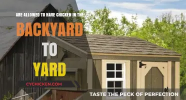 Backyard Chickens: Are They Allowed and Where?