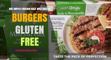 Amylu Chicken Kale Mozzarella Burgers: Gluten-Free or Not?