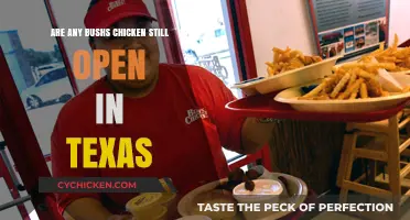 Are Bush's Chicken Locations Still Open in Texas? Find Out Here
