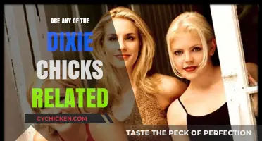 Are the Dixie Chicks Related? Unraveling the Band's Family Ties