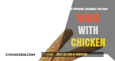 Appoquel Chewable for Dogs: Chicken Ingredients Explained