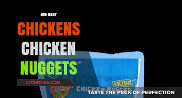 Are Baby Chickens Chicken Nuggets? Unraveling the Poultry Puzzle