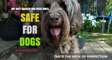 Meat Hides: Safe Treats for Dogs?
