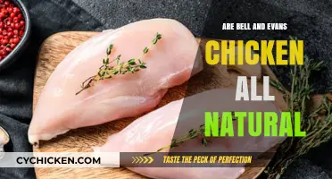 Are Bell & Evans Chickens Truly All-Natural? A Detailed Look