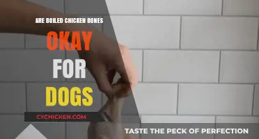 Can Dogs Safely Eat Boiled Chicken Bones? Expert Advice Revealed