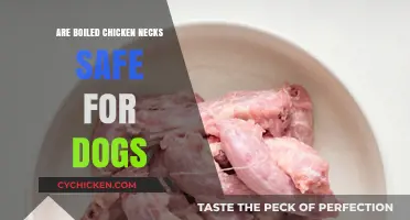 Boiled Chicken Necks for Dogs: Safe or Risky Treat?