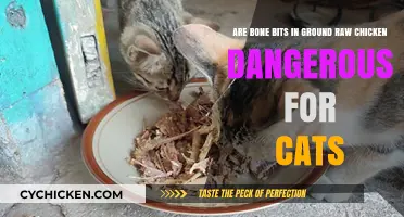 Raw Chicken Bones: Safe or Dangerous for Cats?