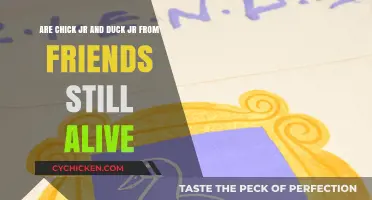 Where Are Friends' Chick Jr. and Duck Jr. Now?