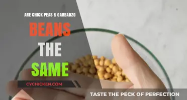 Chickpeas vs. Garbanzo Beans: Unraveling the Same-Legume Mystery