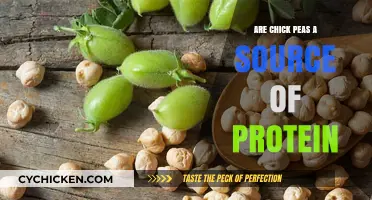 Chickpeas: A Surprising Plant-Based Protein Powerhouse for Your Diet