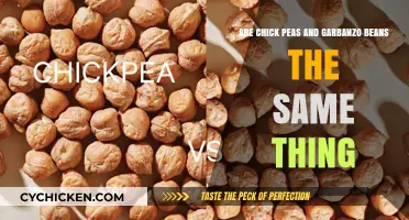 Chickpeas and Garbanzo Beans: What's the Difference?