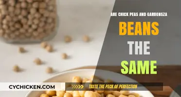 Chickpeas vs. Garbanzo Beans: Unraveling the Same Legume Mystery