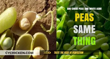 What's the Difference: Chickpeas and White Acre Peas?