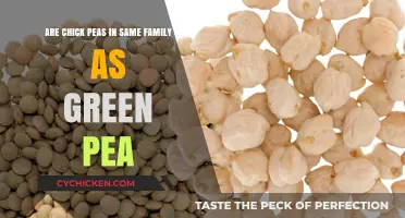 The Mystery of Peas: Are Chickpeas and Green Peas Related?