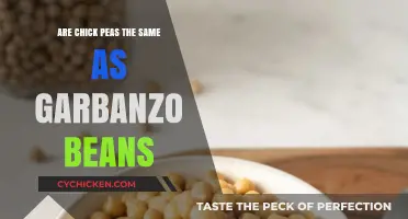Chickpeas vs Garbanzo Beans: Unraveling the Culinary Confusion