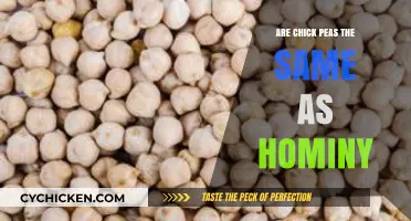 Chickpeas vs. Hominy: Unraveling the Differences and Culinary Uses