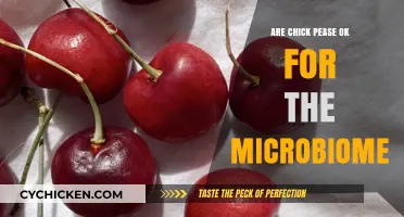 Chickpeas and Gut Health: Microbiome-Friendly Benefits Explained