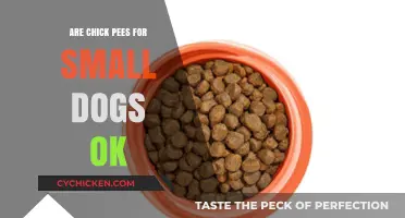 Are Chickpeas Safe for Small Dogs? A Complete Guide