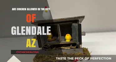 Chicken Keeping in Glendale, AZ: What's the Deal?