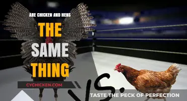 Are Chickens and Hens the Same? Unraveling the Poultry Puzzle