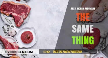 Chicken vs. Meat: Understanding the Key Differences and Similarities