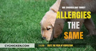 Chicken vs. Turkey Allergies: Understanding the Differences and Similarities