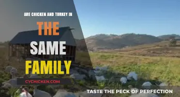 Are Chickens and Turkeys Related? Exploring Their Family Ties