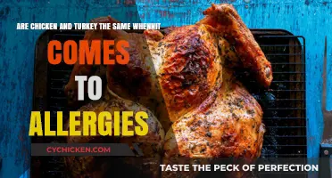 Chicken vs Turkey: Allergies and Differences