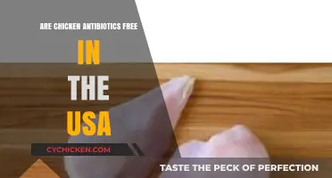 Are US Chickens Antibiotic-Free? Exploring Farming Practices and Regulations