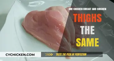 Chicken Breast vs. Thighs: Understanding the Key Differences