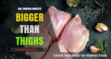 Chicken Breasts vs. Thighs: Size Comparison and Culinary Uses