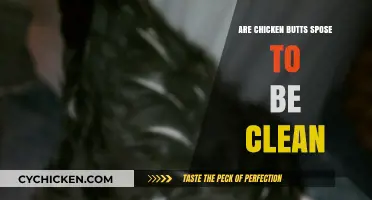 Are Chicken Butts Supposed to Be Clean? The Truth Revealed