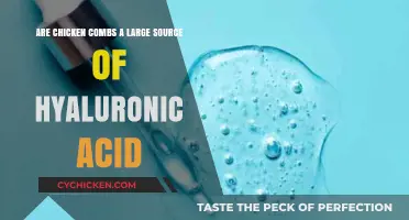 Chicken Combs: A Natural Source of Hyaluronic Acid?