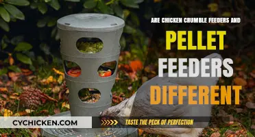 Chicken Crumble vs. Pellet Feeders: Understanding the Key Differences