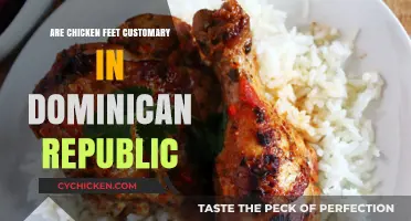 Exploring Dominican Cuisine: Are Chicken Feet a Traditional Dish?