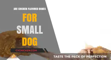 Are Chicken Flavored Bones Safe for Small Dogs? A Guide