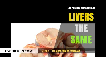 Chicken Gizzards vs. Livers: Understanding the Differences and Similarities