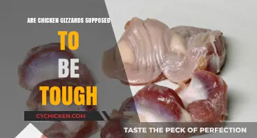 Are Chicken Gizzards Supposed to Be Tough? Texture Explained